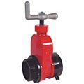Hydrant and Hose Rack Gate Valves image